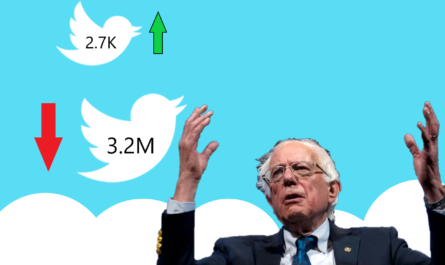 Twitter Bernie