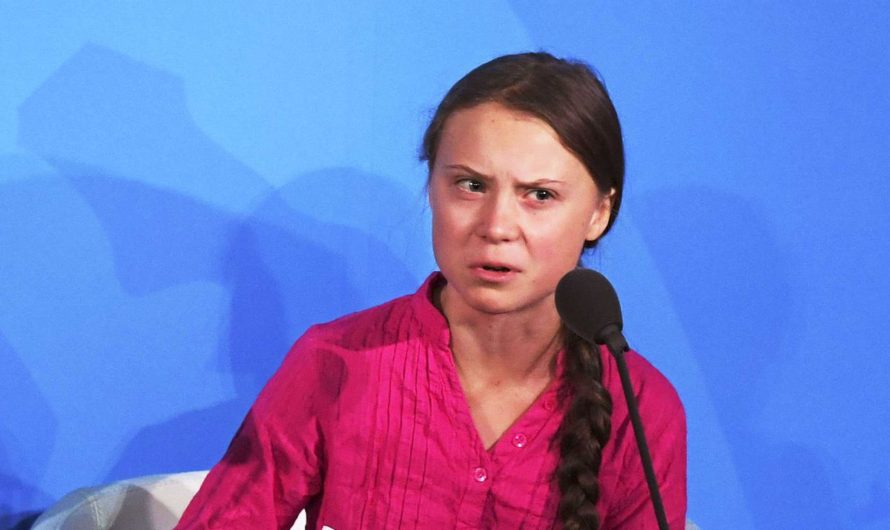 With Climate Activists Refusing to have Children, Experts Predict Critical Shortage Of Child Climate Activists Within 12 Years